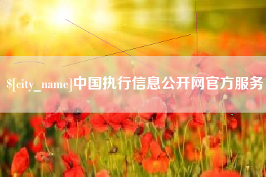 靖江中国执行信息公开网官方服务