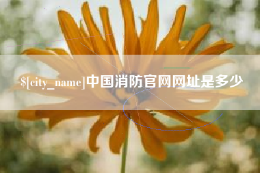 靖江中国消防官网网址是多少