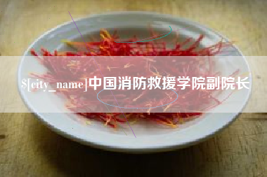 靖江中国消防救援学院副院长