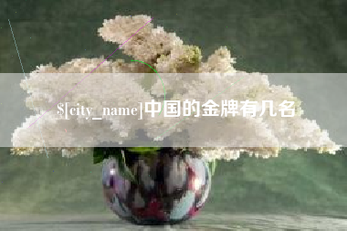 靖江中国的金牌有几名