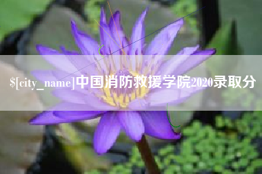 靖江中国消防救援学院2020录取分