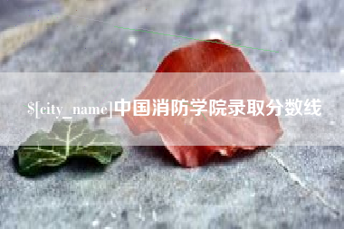 靖江中国消防学院录取分数线