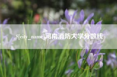 靖江河南消防大学分数线