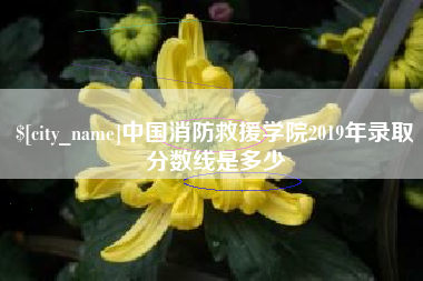 靖江中国消防救援学院2019年录取分数线是多少
