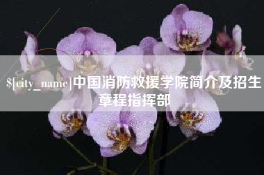 靖江中国消防救援学院简介及招生章程指挥部