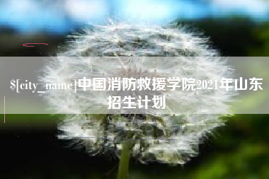 靖江中国消防救援学院2021年山东招生计划