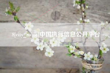 靖江中国执行信息公开平台