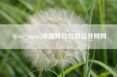 靖江中国执行信息公开网网