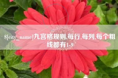 靖江九宫格规则,每行,每列,每个粗线都有1-9