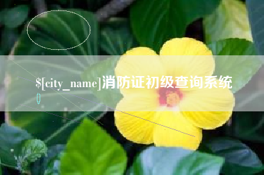 靖江消防证初级查询系统