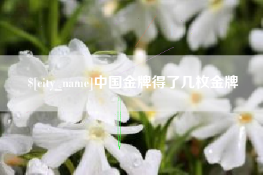 靖江中国金牌得了几枚金牌