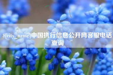 靖江中国执行信息公开网客服电话查询