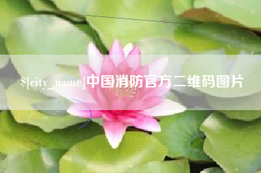 靖江中国消防官方二维码图片