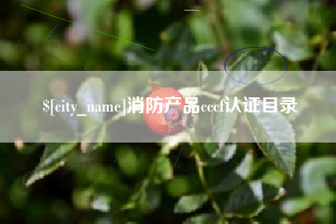 靖江消防产品cccf认证目录