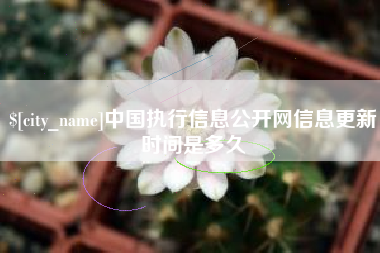 靖江中国执行信息公开网信息更新时间是多久