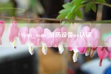 靖江消防设备ccc认证