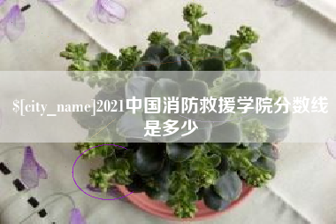 靖江2021中国消防救援学院分数线是多少