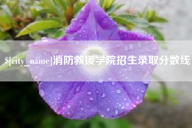 靖江消防救援学院招生录取分数线