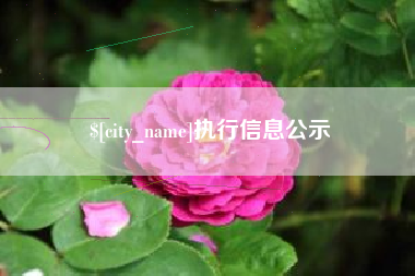靖江执行信息公示