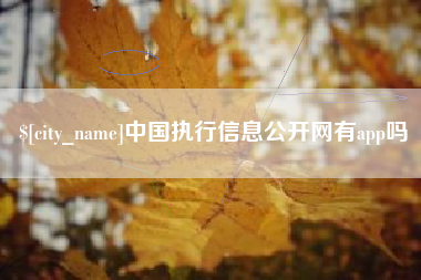 靖江中国执行信息公开网有app吗