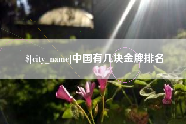 靖江中国有几块金牌排名