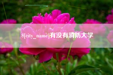 靖江有没有消防大学