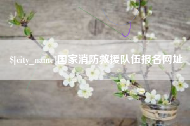 靖江国家消防救援队伍报名网址