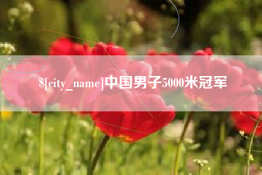 靖江中国男子5000米冠军