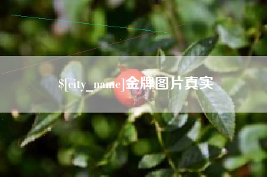 靖江金牌图片真实