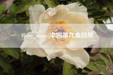 靖江中国第九金回放