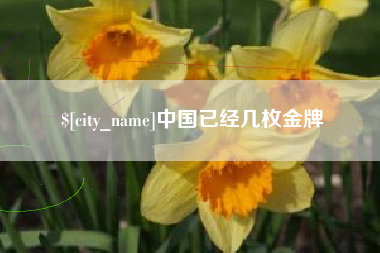 靖江中国已经几枚金牌