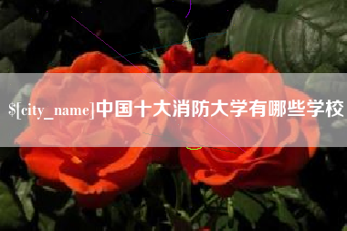 靖江中国十大消防大学有哪些学校