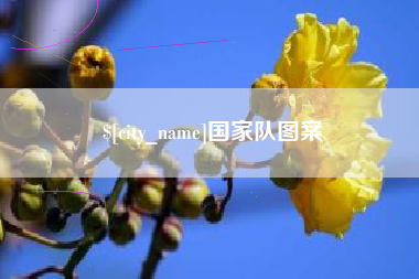 靖江国家队图案