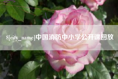 靖江中国消防中小学公开课回放
