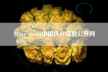 靖江中国执行信息公开网