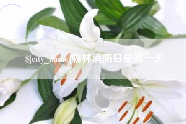 靖江森林消防日是哪一天