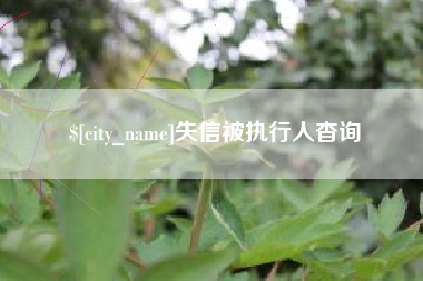 靖江失信被执行人杳询