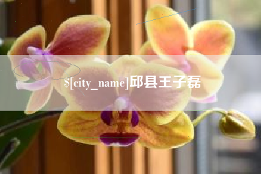 靖江邱县王子磊