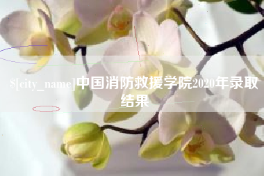 靖江中国消防救援学院2020年录取结果