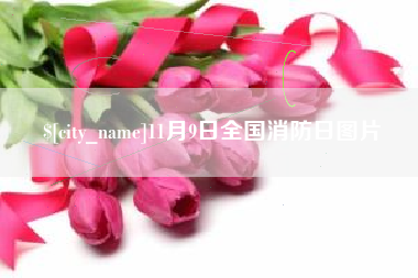 靖江11月9日全国消防日图片
