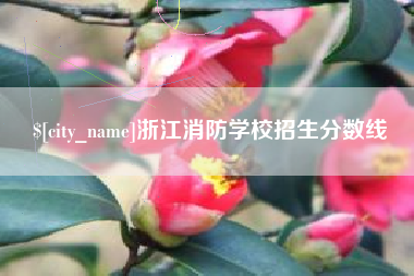 靖江浙江消防学校招生分数线