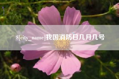 靖江我国消防日几月几号