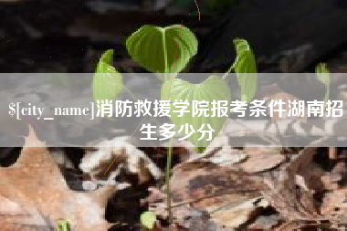 靖江消防救援学院报考条件湖南招生多少分
