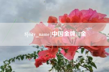 靖江中国金牌18金