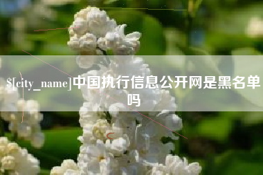 靖江中国执行信息公开网是黑名单吗
