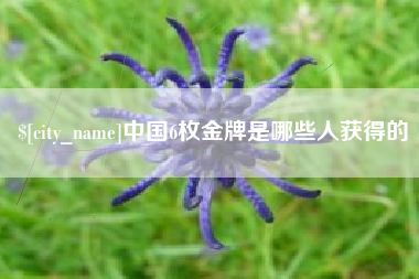 靖江中国6枚金牌是哪些人获得的