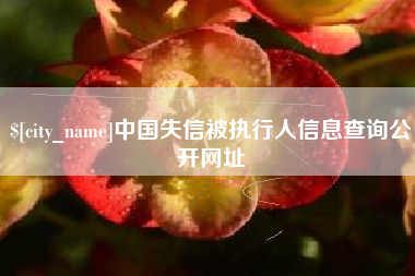 靖江中国失信被执行人信息查询公开网址