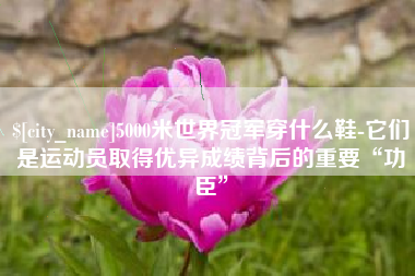 靖江5000米世界冠军穿什么鞋-它们是运动员取得优异成绩背后的重要“功臣”