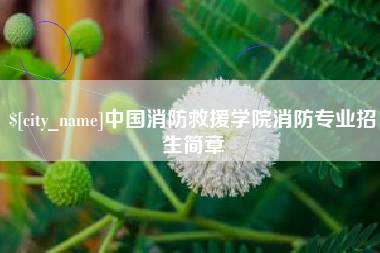 靖江中国消防救援学院消防专业招生简章
