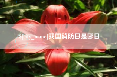 靖江我国消防日是哪日
